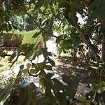 Davor & Davorka Apartament *